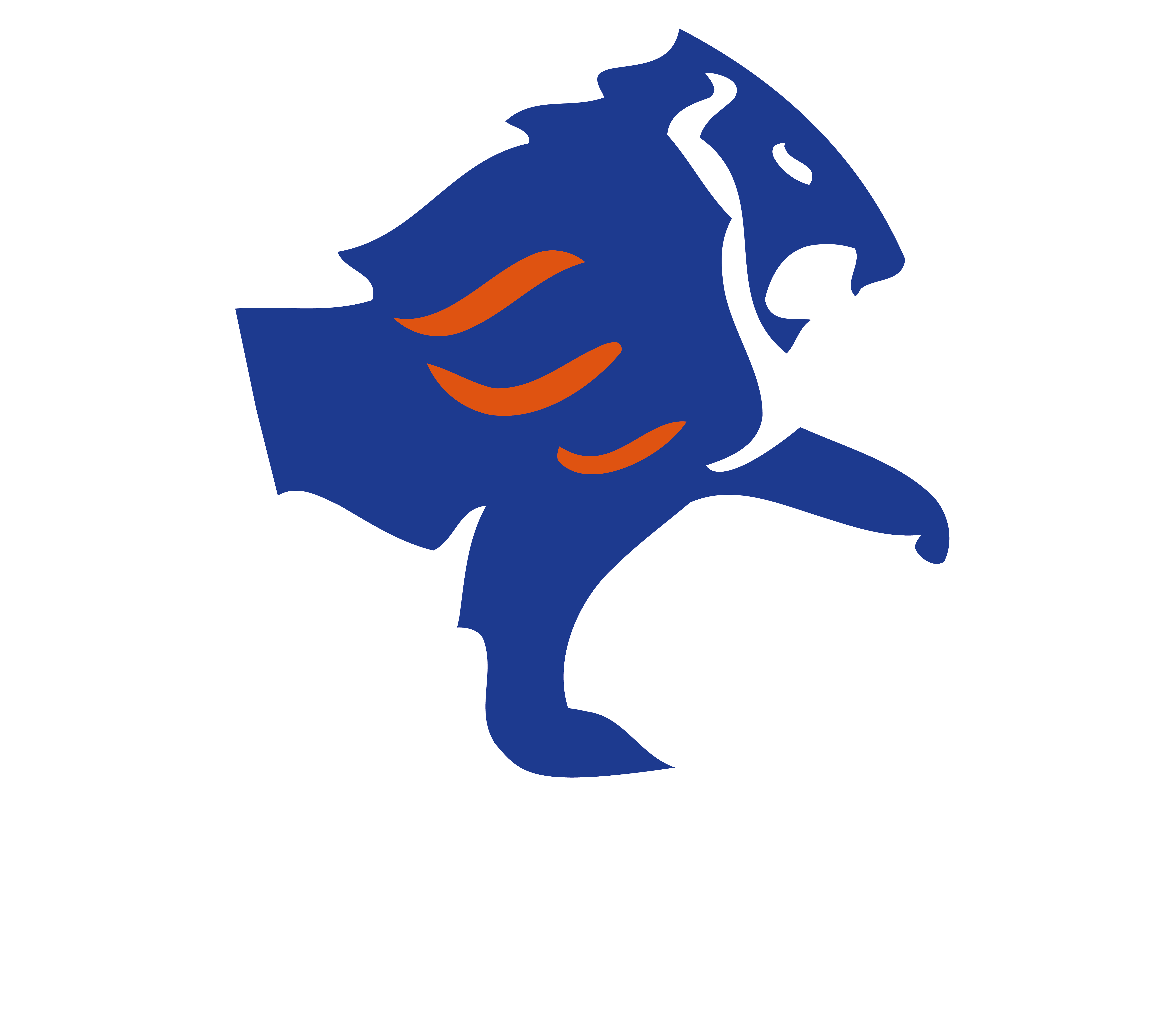 Afroil